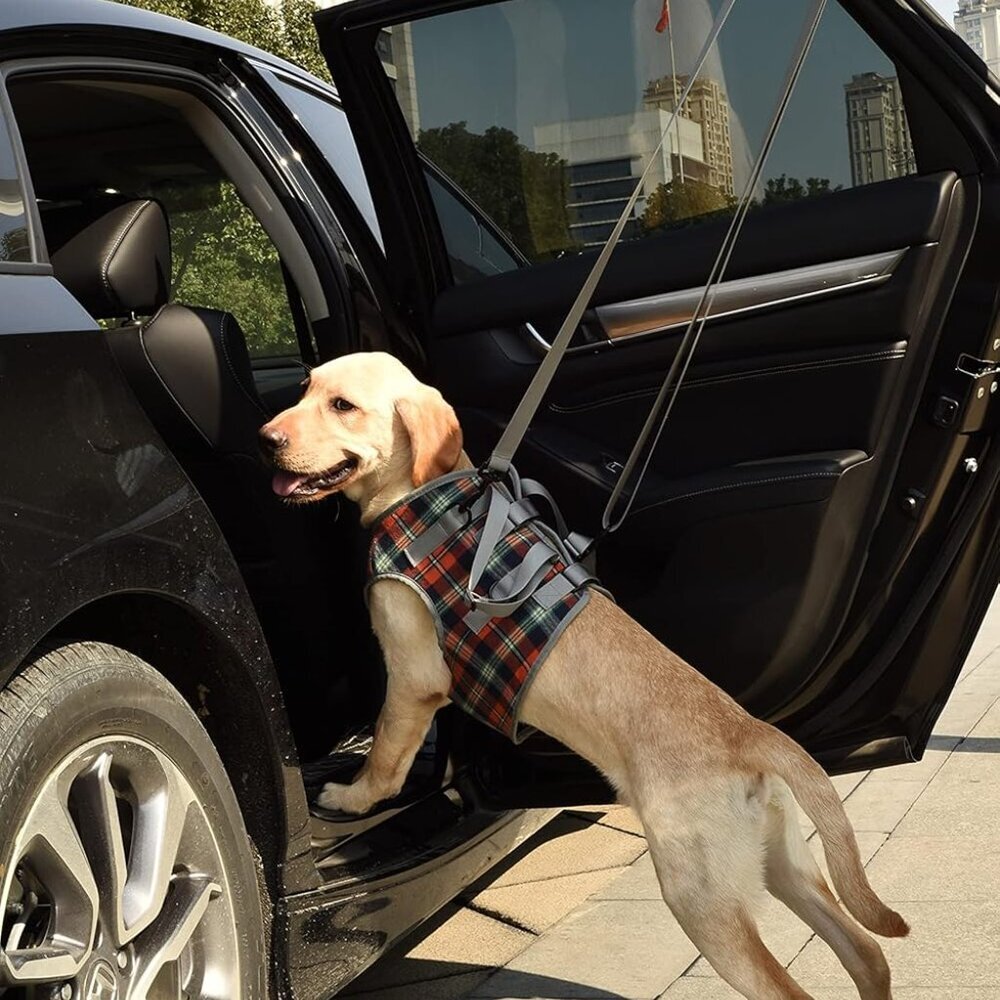 Dog Lift Harness, Grid Pet Chest Support Aid Veterinarian Approved